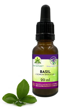 007. Basil - Kompozycja FES 20ml