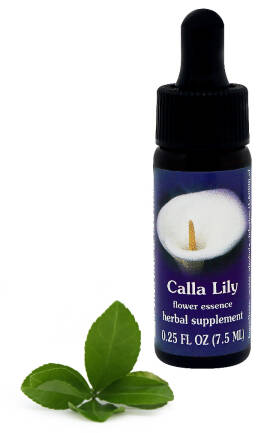 FES Calla Lily 7,5 ml krople