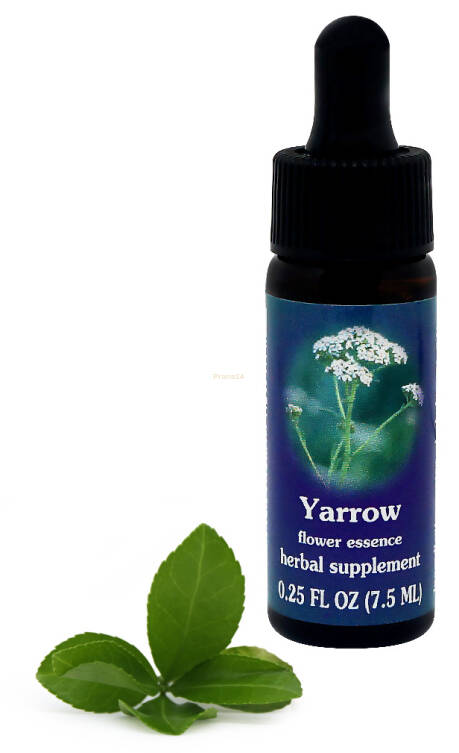 FES Yarrow 7,5 ml krople