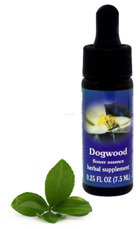 FES Dogwood 7,5 ml krople