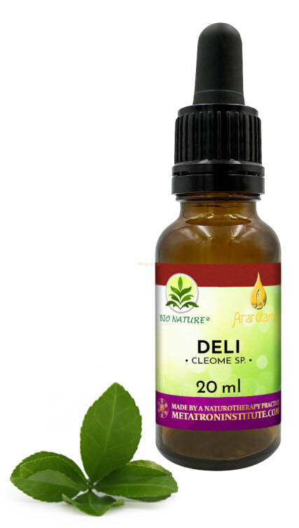 08. Deli - Kompozycja Ararêtama 20ml