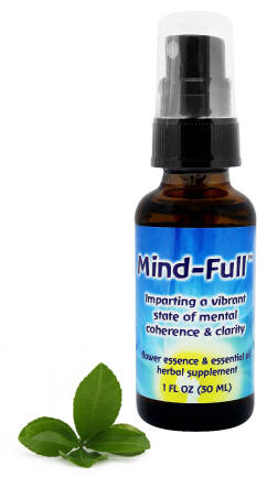 FES Mind-Full Zapewnia żywy stan spójności i jasności umysłu 30 ml spray